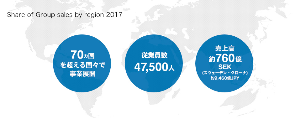 Share of Group sales by region 2017